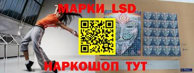 гидропоника Сланцы