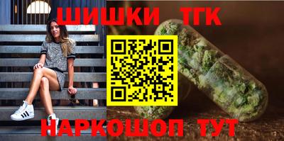 гидропоника Сланцы