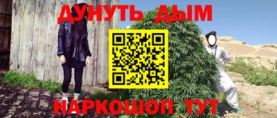 гидропоника Сланцы