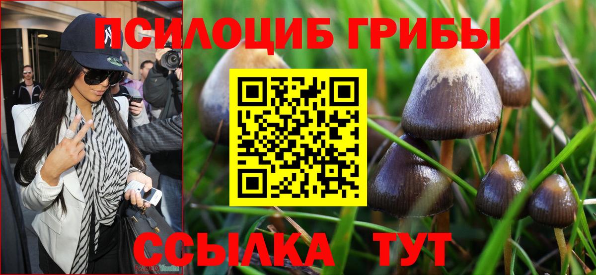Псилоцибиновые грибы мицелий Хабаровск