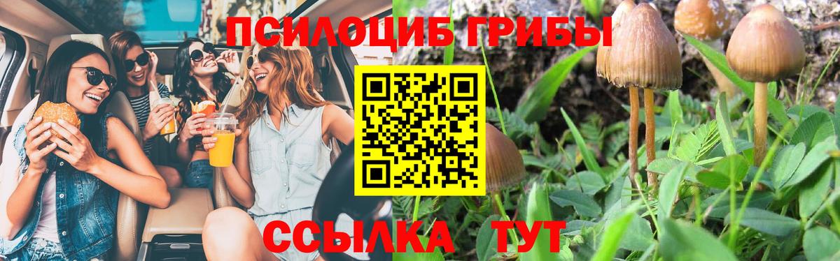 Псилоцибиновые грибы GOLDEN TEACHER  Вход с VPN  Псилоцибиновые грибы Cubensis  Хабаровск 